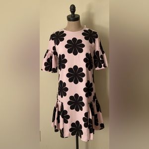 Ann Taylor Flower Power Shift Dress Size 4